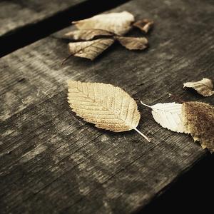 芬兰女人裸交HD
