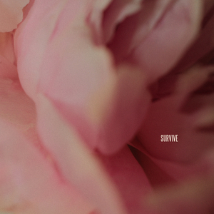 芬兰女人裸交HD
